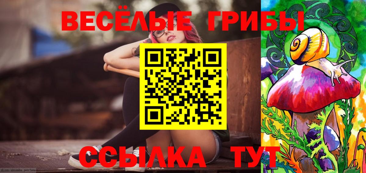 Междуреченск  Псилоцибиновые грибы GOLDEN TEACHER  Вход с VPN  Псилоцибиновые грибы GOLDEN TEACHER 